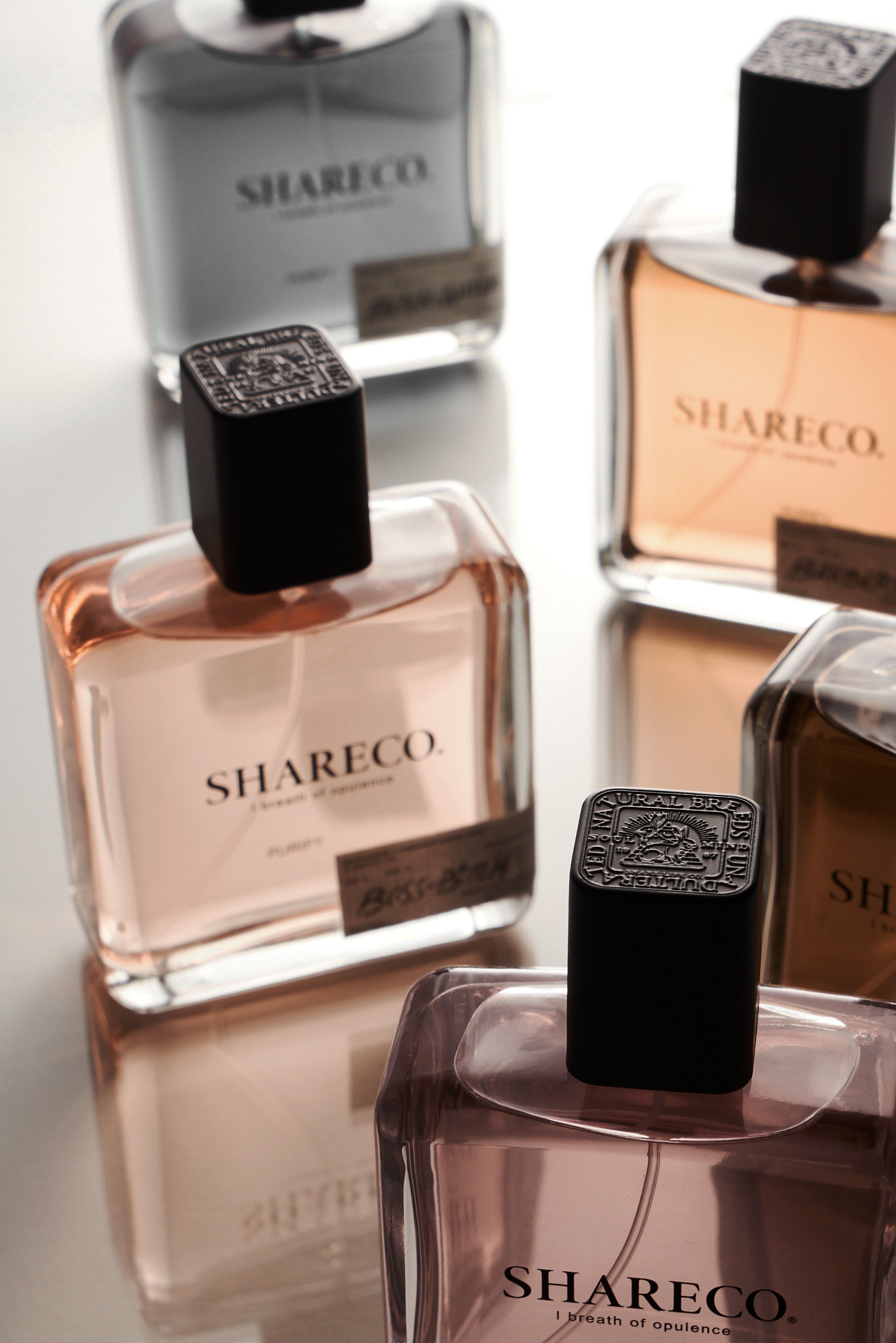 裸麝香香水 BOSS B*TCH|100ML - SHARECO DESIGN