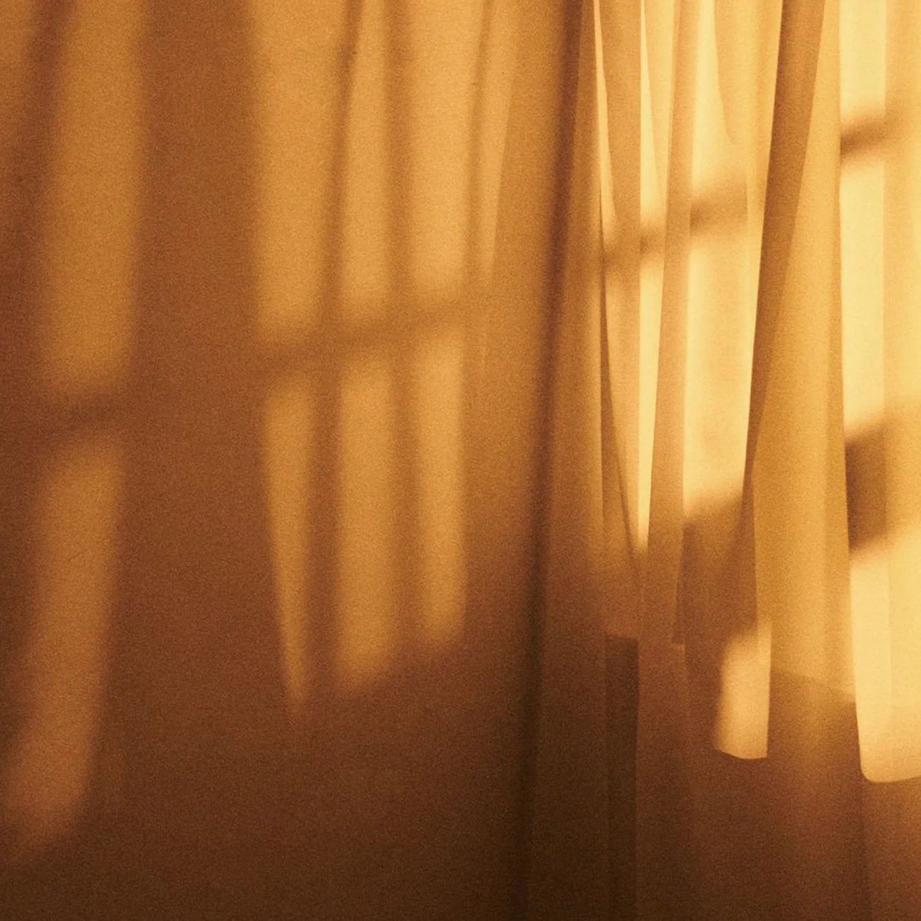 3105 Twilight Amber｜Perfume Shower Gel